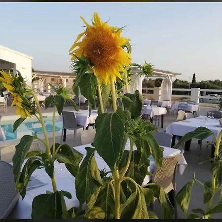 Villa Inn *