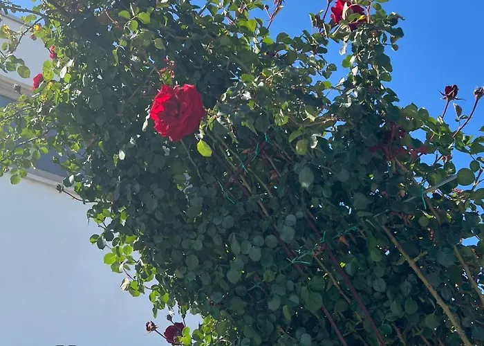 Villa Inn * Villaperuccio